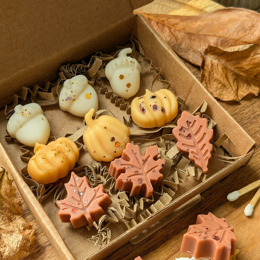 Autumn Wax Melt Selection Box - My Store
