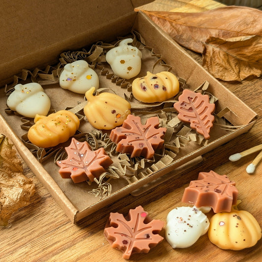 Autumn Wax Melt Selection Box