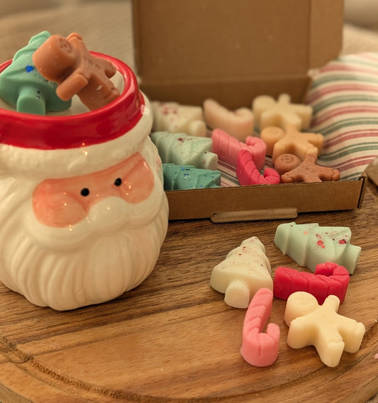 Christmas Wax Melt Burner With Wax Melts Gift Set