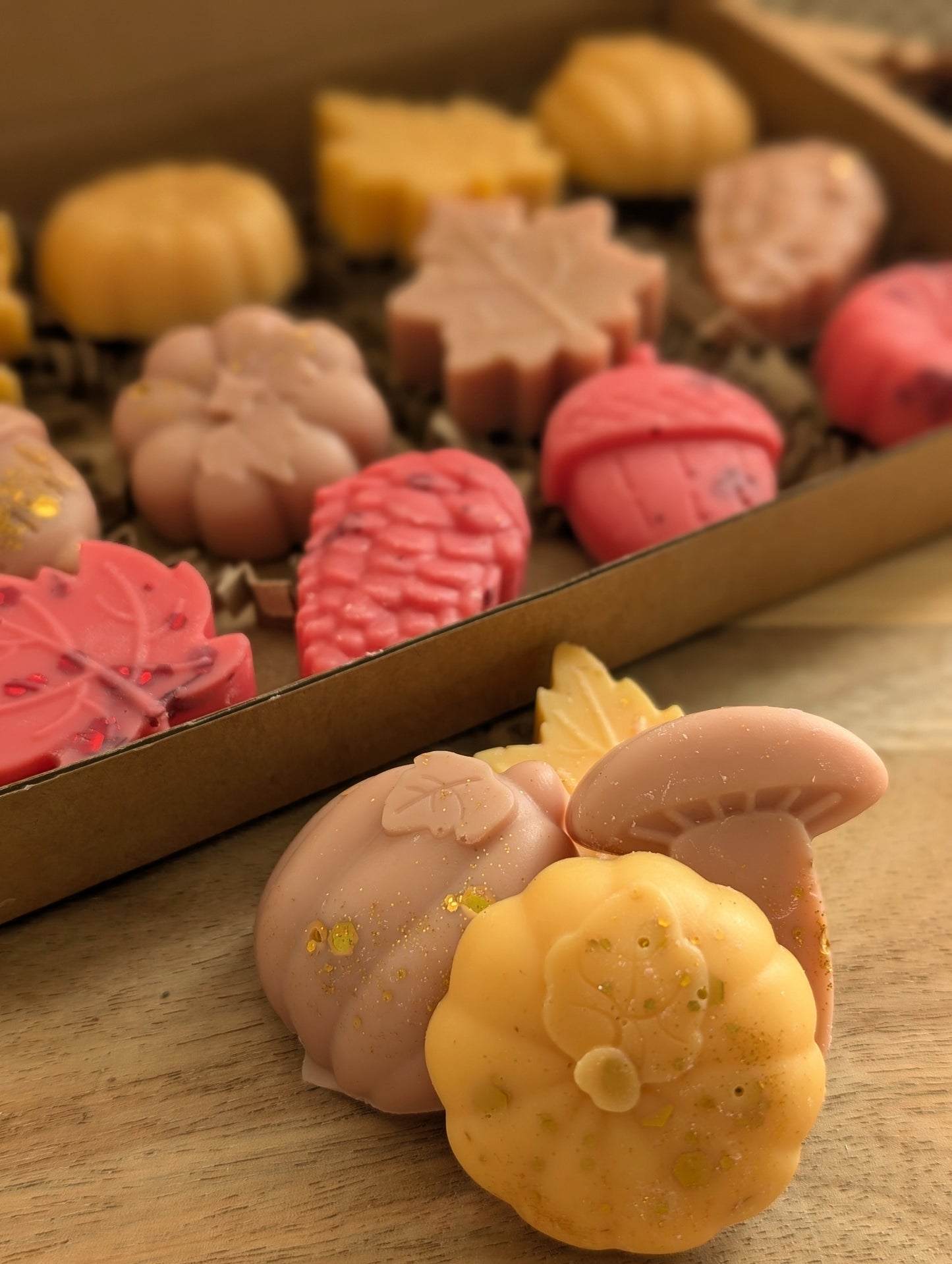 Snuggle Season Autumnal Wax Melt Selection Box