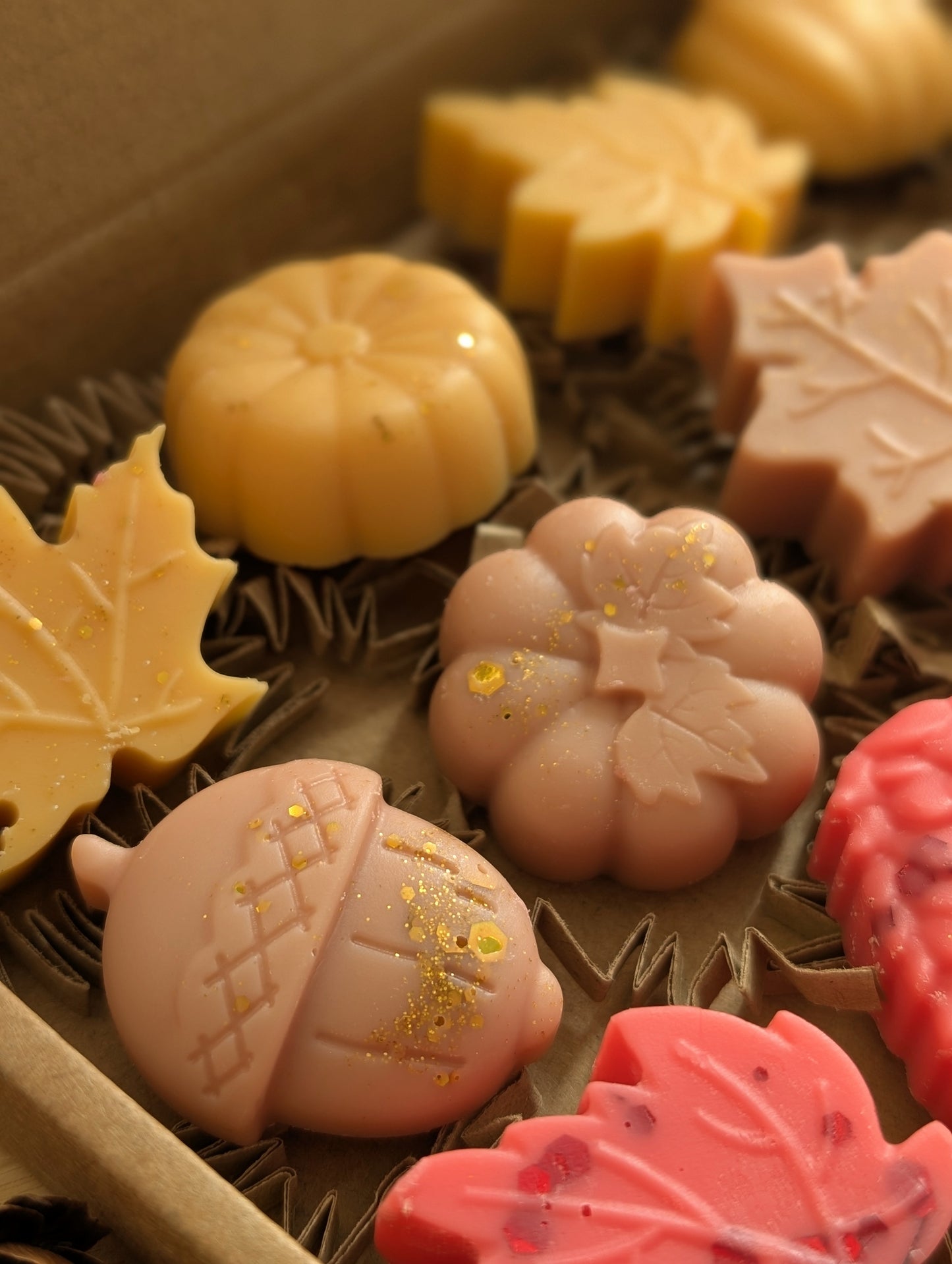 Snuggle Season Autumnal Wax Melt Selection Box