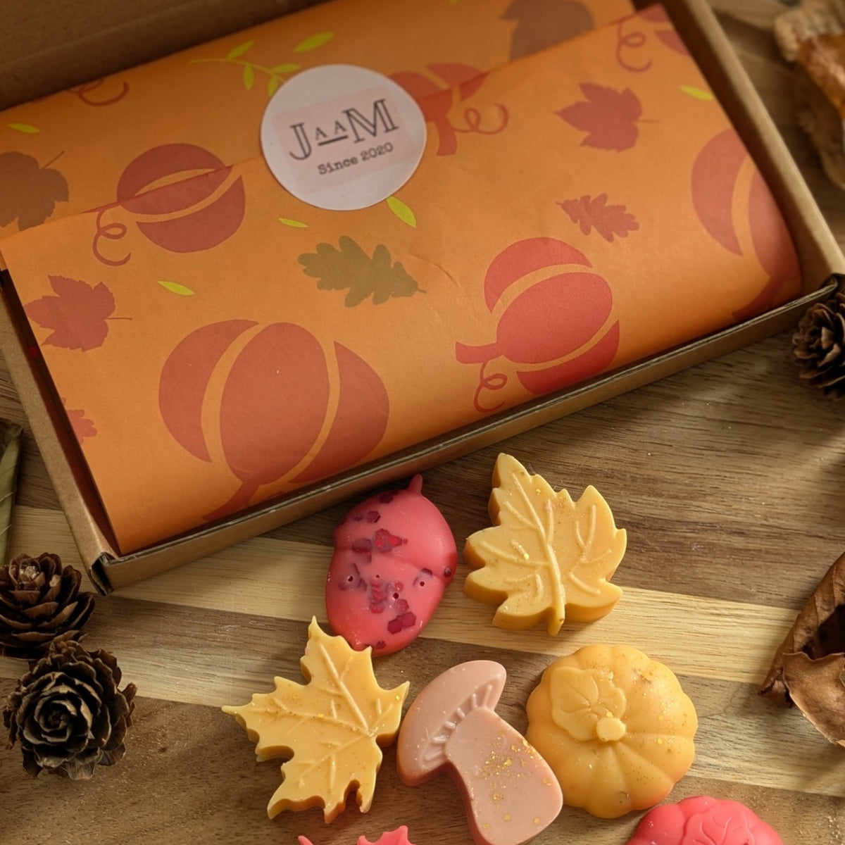 Snuggle Season Autumnal Wax Melt Selection Box - My Store
