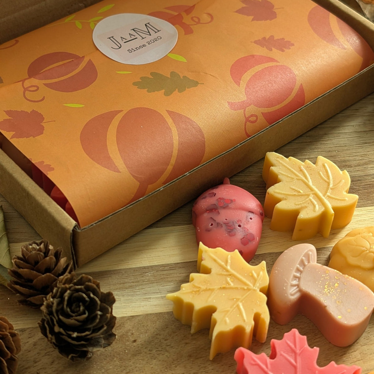 Snuggle Season Autumnal Wax Melt Selection Box - My Store