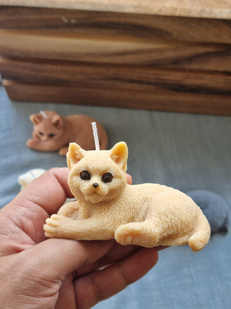 Cat Candle. Relaxed cat candle