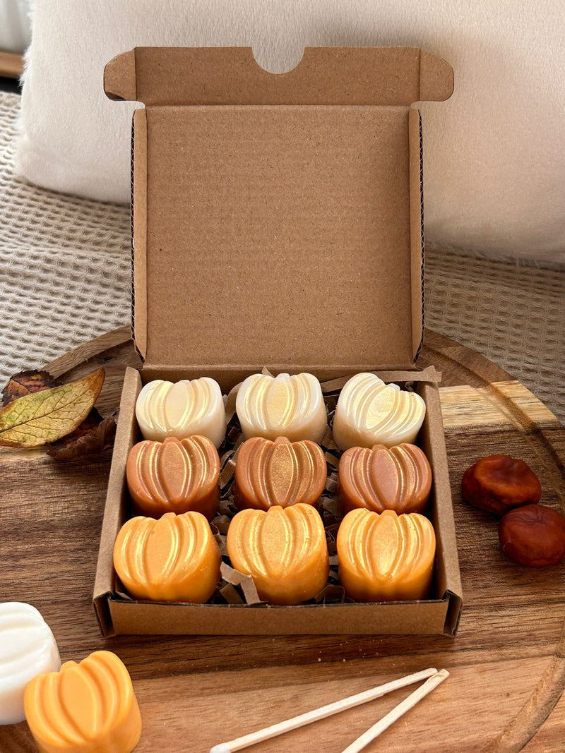 Cinnamon & Vanilla pumpkin wax melts. Autumn decor