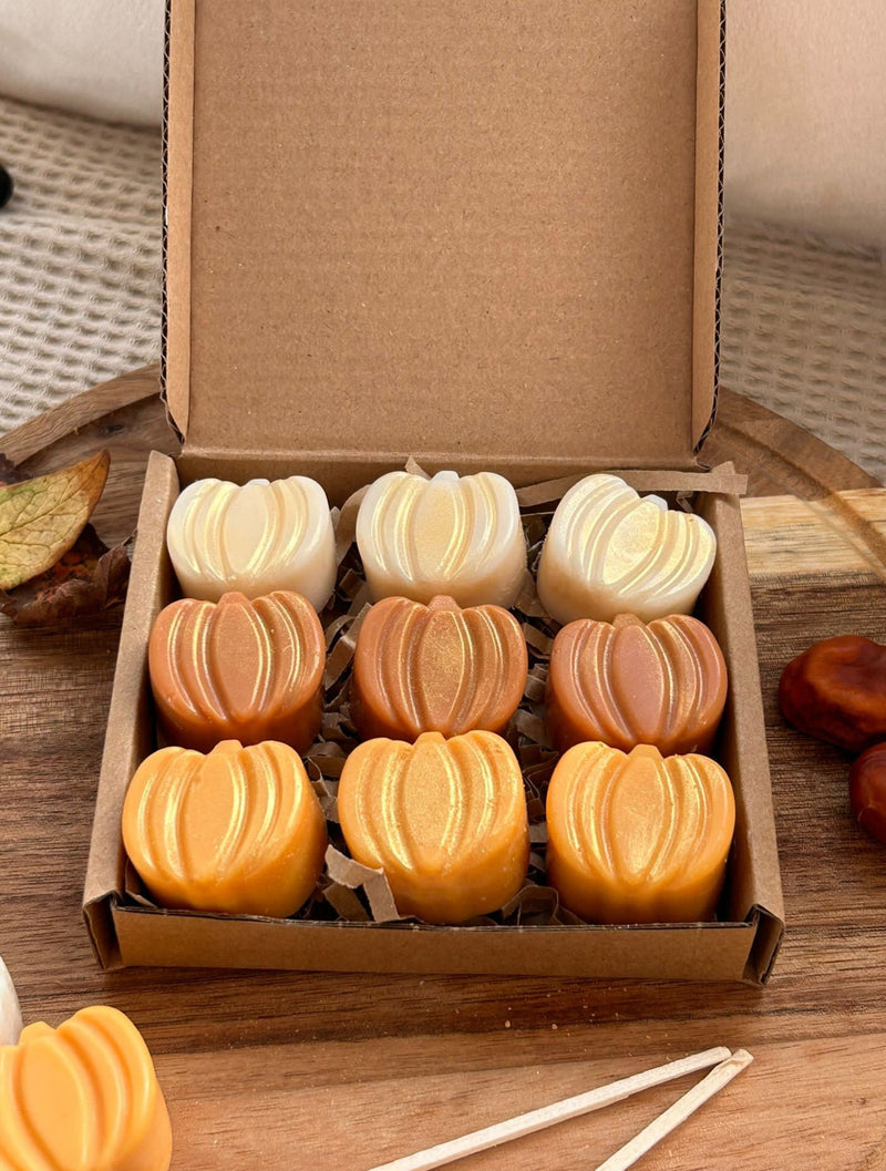 Cinnamon & Vanilla pumpkin wax melts. Autumn decor