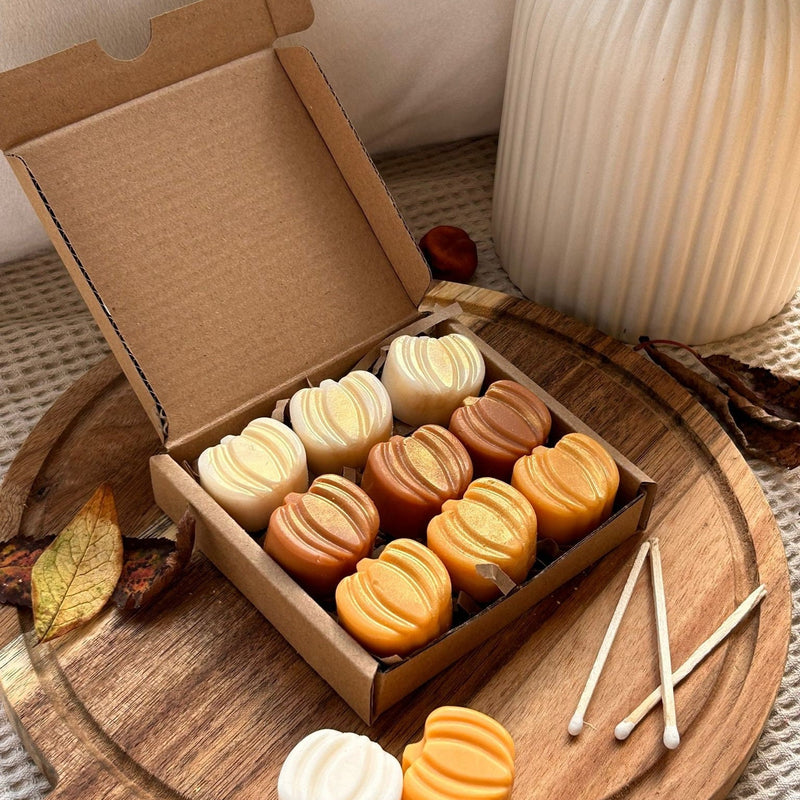 Cinnamon & Vanilla pumpkin wax melts. Autumn decor