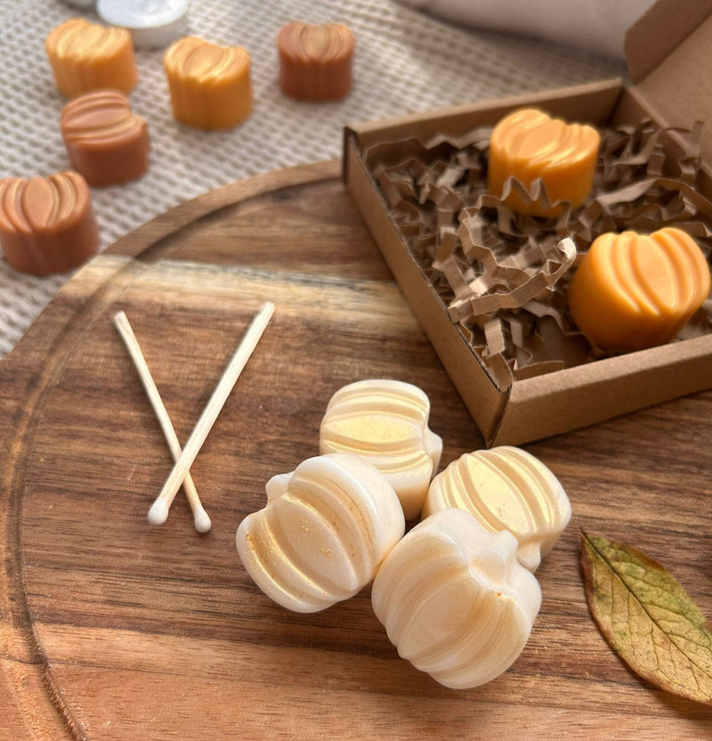 Autumn wax melt and burner set. Pumpkin wax melts. - My Store