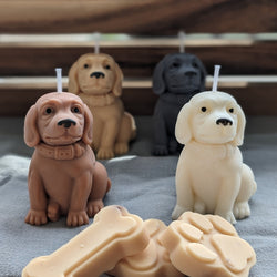 Dachshund Candle. Dog Candle. Decor candle