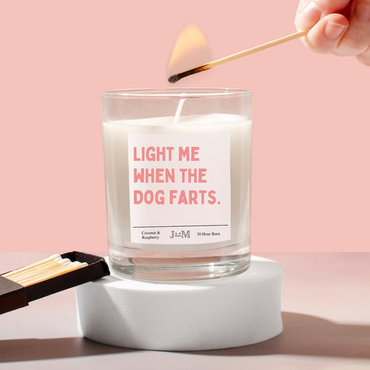 Dog farts. When the dog farts. Candle uk. Candle gift. Fart extinguisher - My Store
