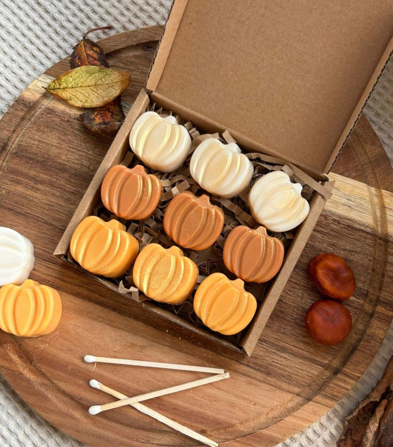 Cinnamon & Vanilla pumpkin wax melts. Autumn decor