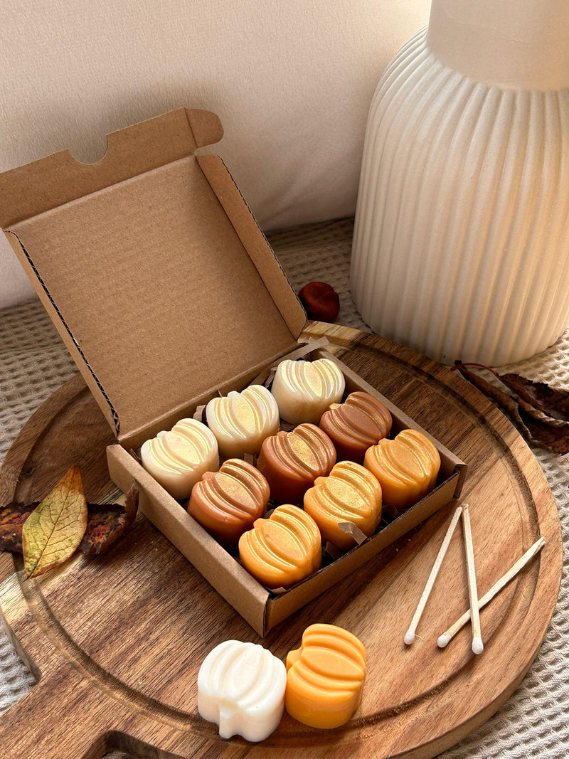 Autumn wax melt and burner set. Pumpkin wax melts. - My Store