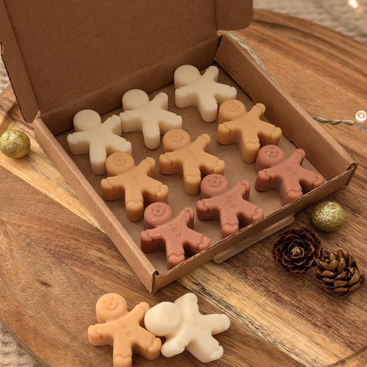 Gingerbread wax melts. Christmas. Wax melt selection box. Christmas wax melts. Christmas home decor. Cute wax melts - My Store