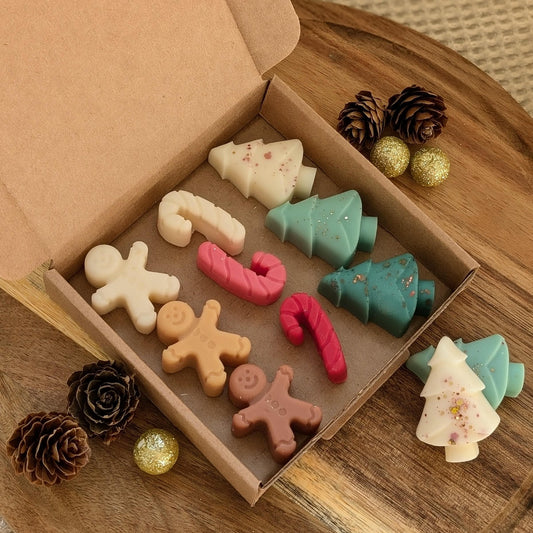 Christmas wax melt selection box. Christmas home decor. - My Store