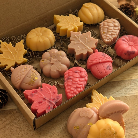 Snuggle Season Autumnal Wax Melt Selection Box